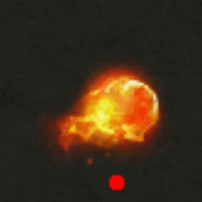 ��ʦְҵΪ�γɴ���˽����ѡ����Ƚ���